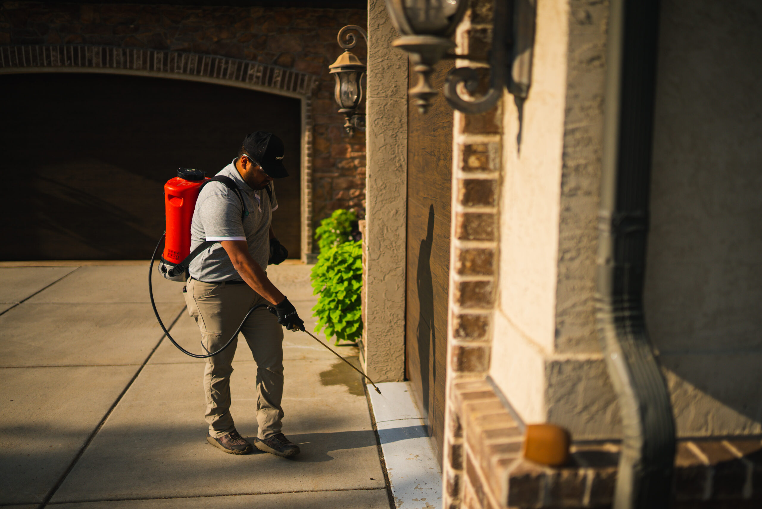 pest control hills district